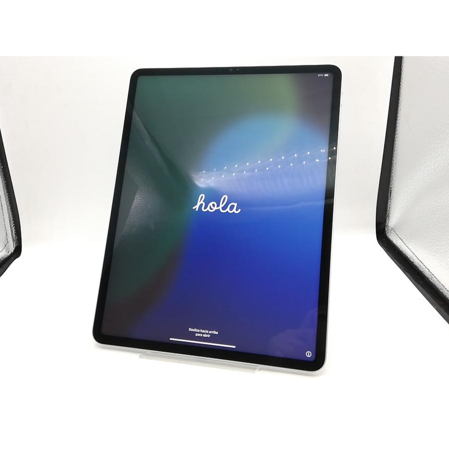 ジャンク品iPadPro12.9第五世代512gb ApplePencilのみ 【公式通販】