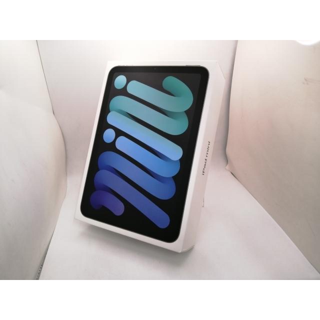 未使用】Apple 【Wi-Fi】 iPad mini（A17Pro/2024） 128GB スペース