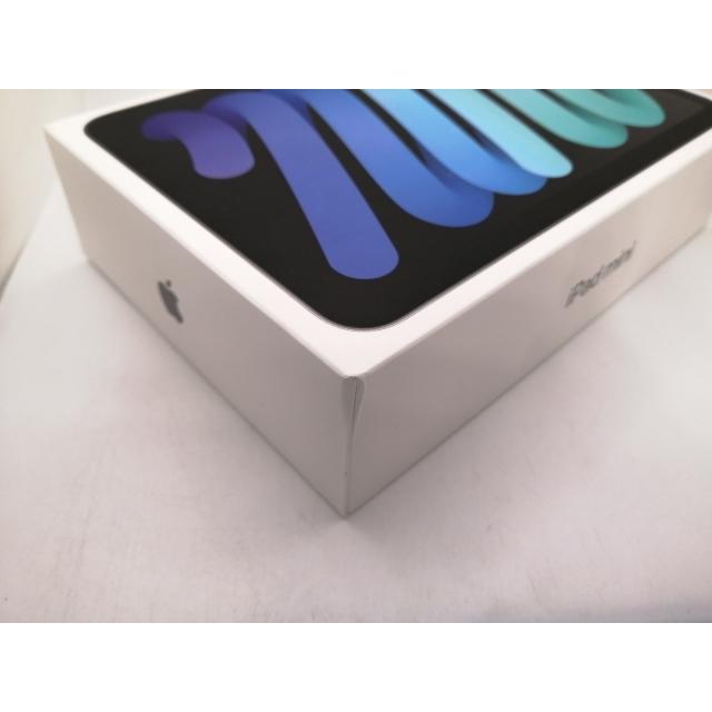 未使用】Apple 【Wi-Fi】 iPad mini（A17Pro/2024） 128GB スペース