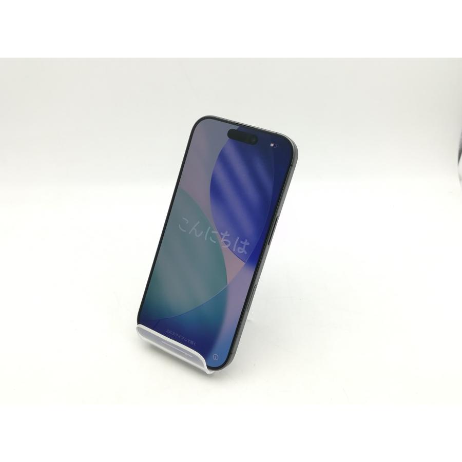 【中古】Apple 国内版 【SIMフリー】 iPhone 17 256GB ブラック MG674J/A【神戸】保証期間１ヶ月【ランクA】の画像