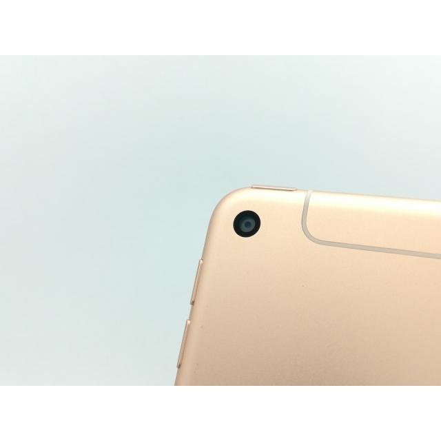 中古】Apple docomo 【SIMロック解除済み】 iPad mini（第5世代/2019