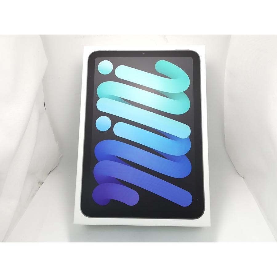 未使用】Apple 【Wi-Fi】 iPad mini（A17Pro/2024） 128GB スペース