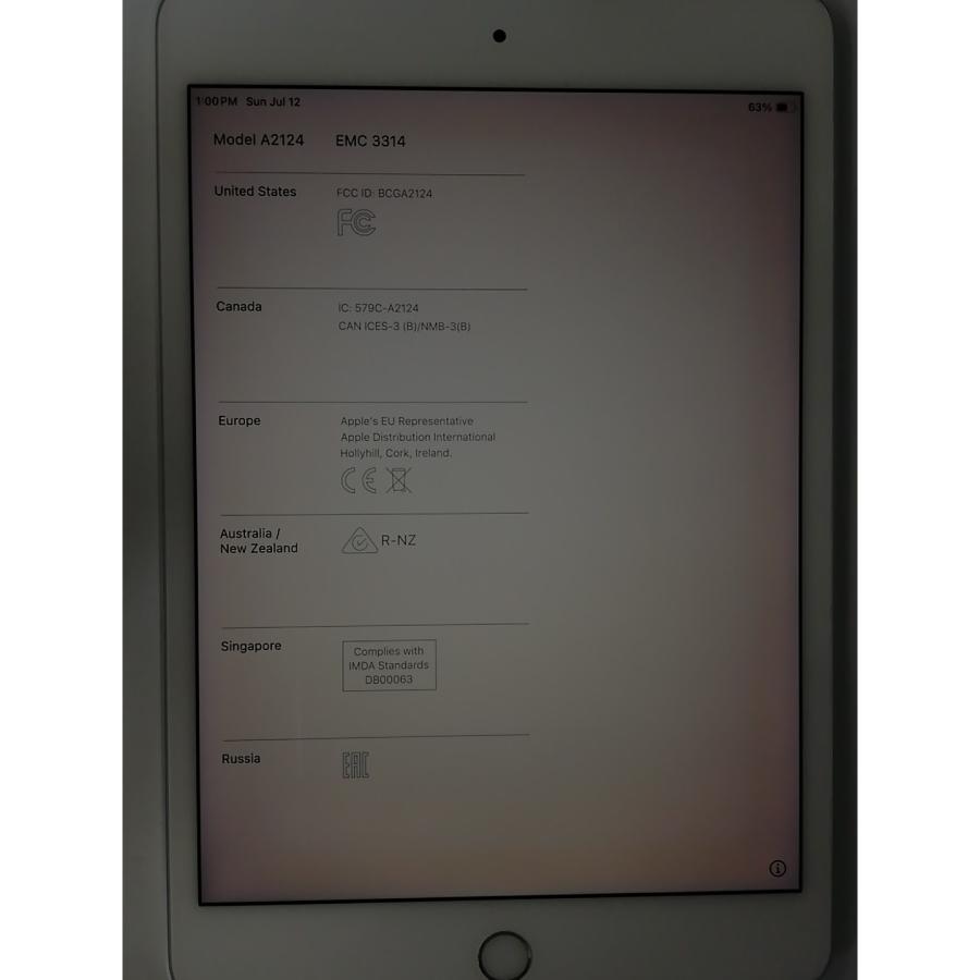 中古】Apple docomo 【SIMロック解除済み】 iPad mini（第5世代/2019 