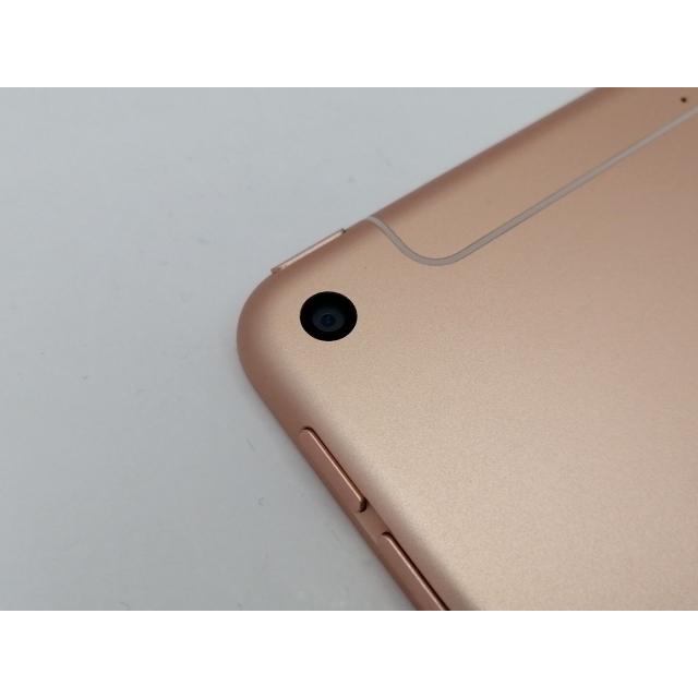 中古】Apple docomo 【SIMロック解除済み】 iPad mini（第5世代/2019