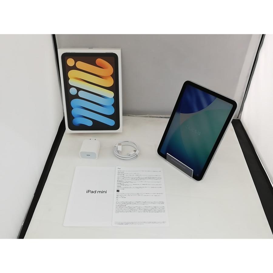 【中古】Apple 国内版 【SIMフリー】 iPad mini（A17Pro/2024） 256GB ブルー MXPW3J/A【秋葉3号】保証期間１ヶ月【ランクA】の画像