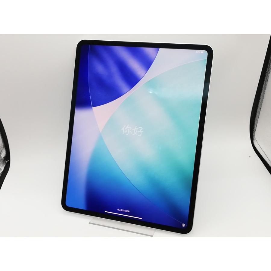 美品　iPad Pro(M4) 13インチ 256GB シルバー 中古】Apple 【Wi-Fi】 13インチ iPad Pro（M4/2024） 256GB シルバー