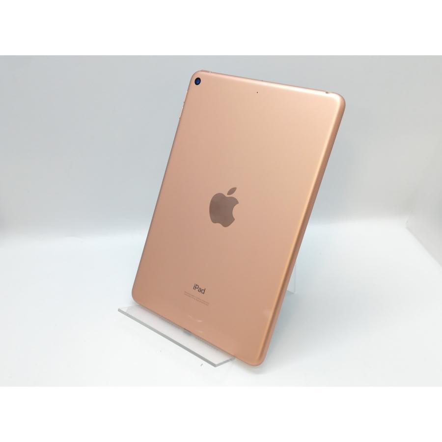 iPad mini ゴールド 本体のみ Apple iPad mini ゴールド 本体 Apple iPad mini (第6世代)ゴールド