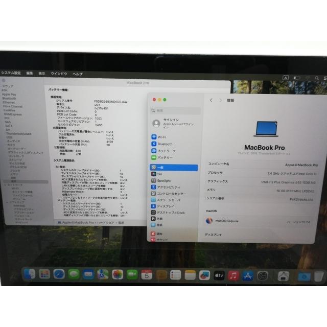 【中古】Apple MacBook Pro 13インチ(wTB) CTO (Mid 2019) シルバー Core i5(1.4G)/16G/256G(SSD)/Iris Plus 645【京都】保証期間１ヶ月【ランクC】の画像