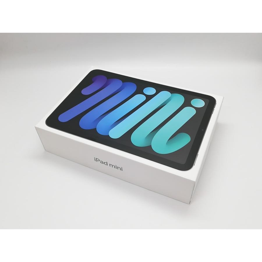 未使用】Apple 【Wi-Fi】 iPad mini（A17Pro/2024） 128GB スペース