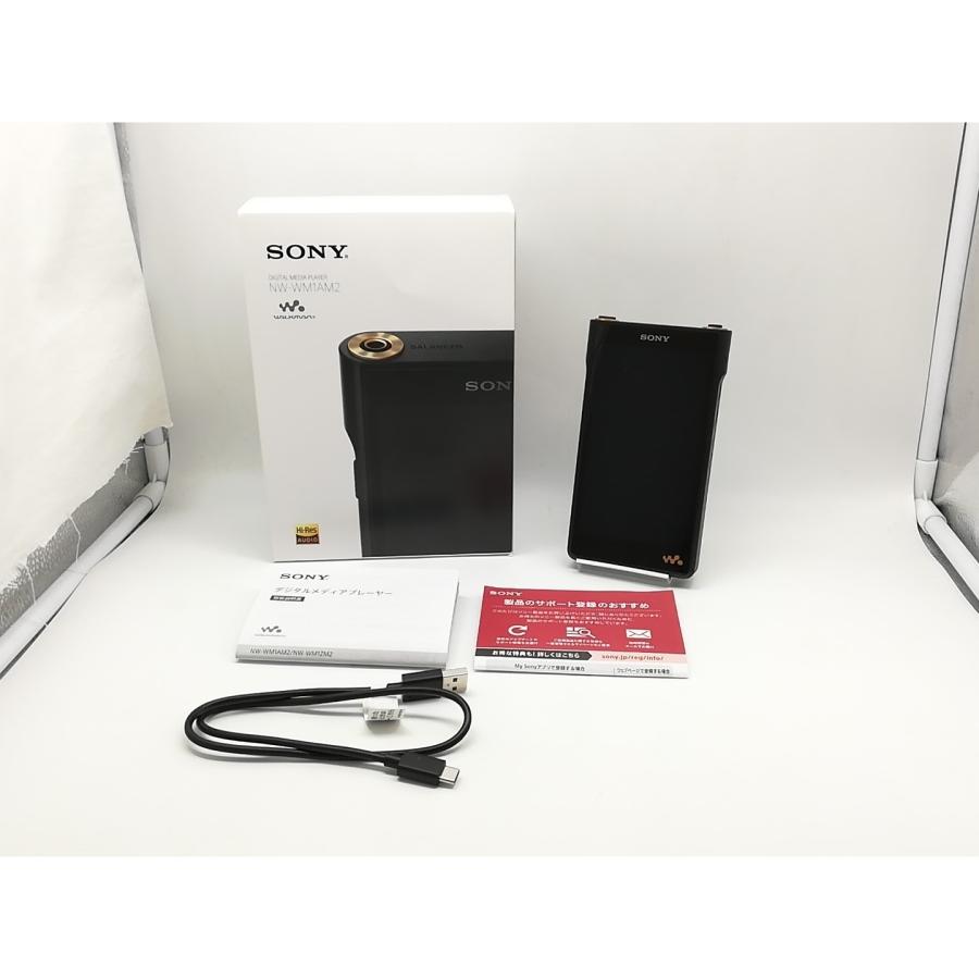 【中古】SONY WALKMAN(ウォークマン) NW-WM1AM2 128GB【横浜】保証期間１ヶ月【ランクC】_6