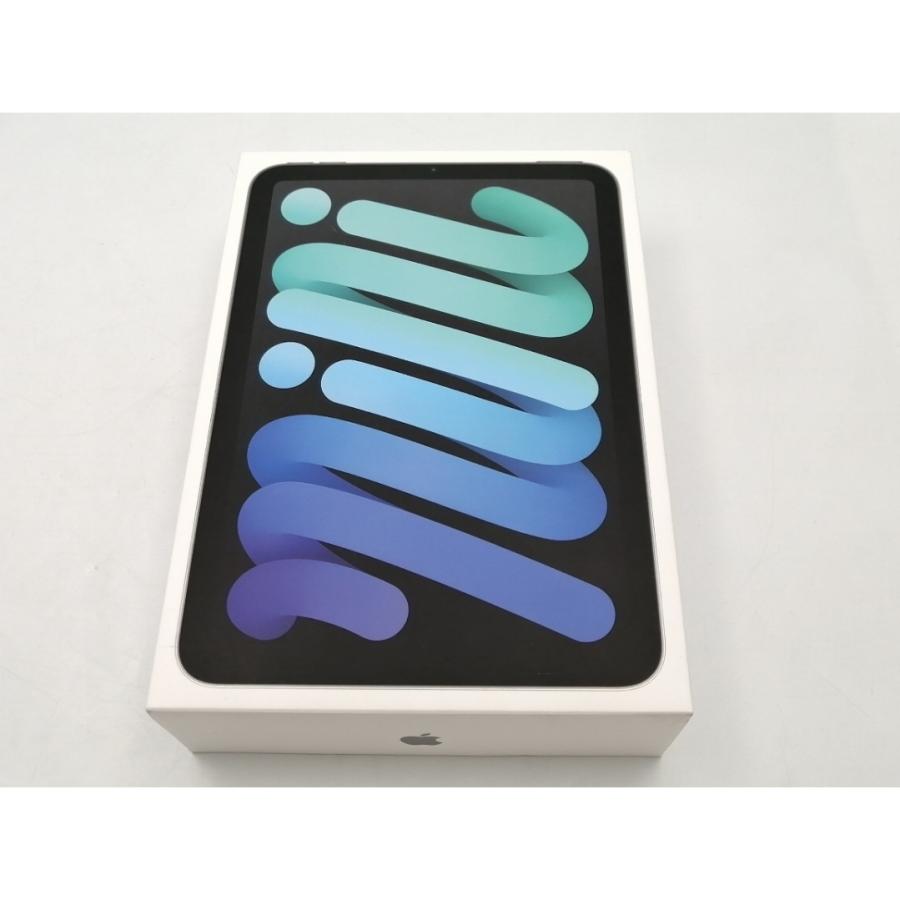 未使用】Apple 【Wi-Fi】 iPad mini（A17Pro/2024） 128GB スペース