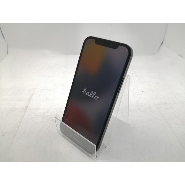 APPLE 【Bランク中古品】 SIMロック解除済 DOCOMO iPhone 12 64 GB 