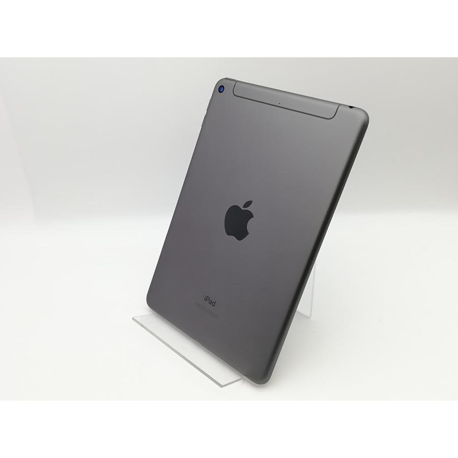 iPad お買い得品 mini 5 Cellular 64GB SIMロック解除済み 93% iPad