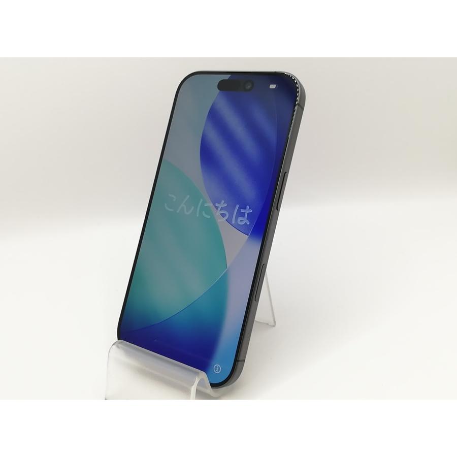 【中古】Apple 国内版 【SIMフリー】 iPhone 17 256GB ブラック MG674J/A【戸塚】保証期間１ヶ月【ランクA】の画像