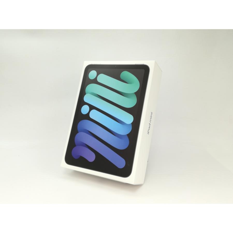 未使用】Apple 【Wi-Fi】 iPad mini（A17Pro/2024） 128GB スペース