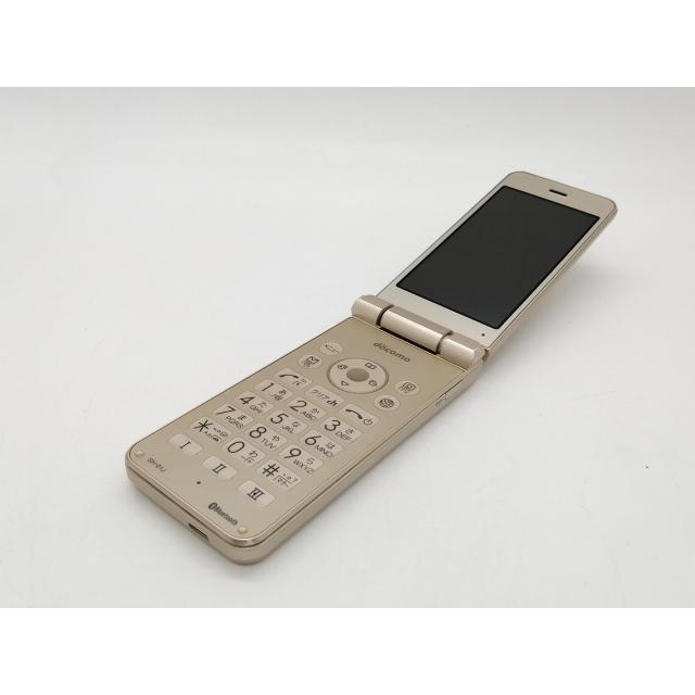 中古】SHARP docomo 【SIMロック解除済み】 AQUOS ケータイ SH-01J