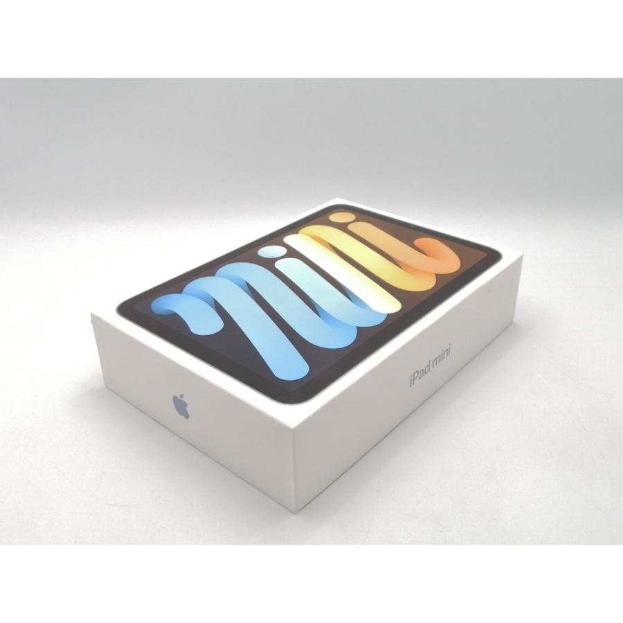 【未使用】Apple 【Wi-Fi】 iPad mini（A17Pro/2024） 256GB ブルー MXNC3J/A【ECセンター】保証期間６ヶ月の画像