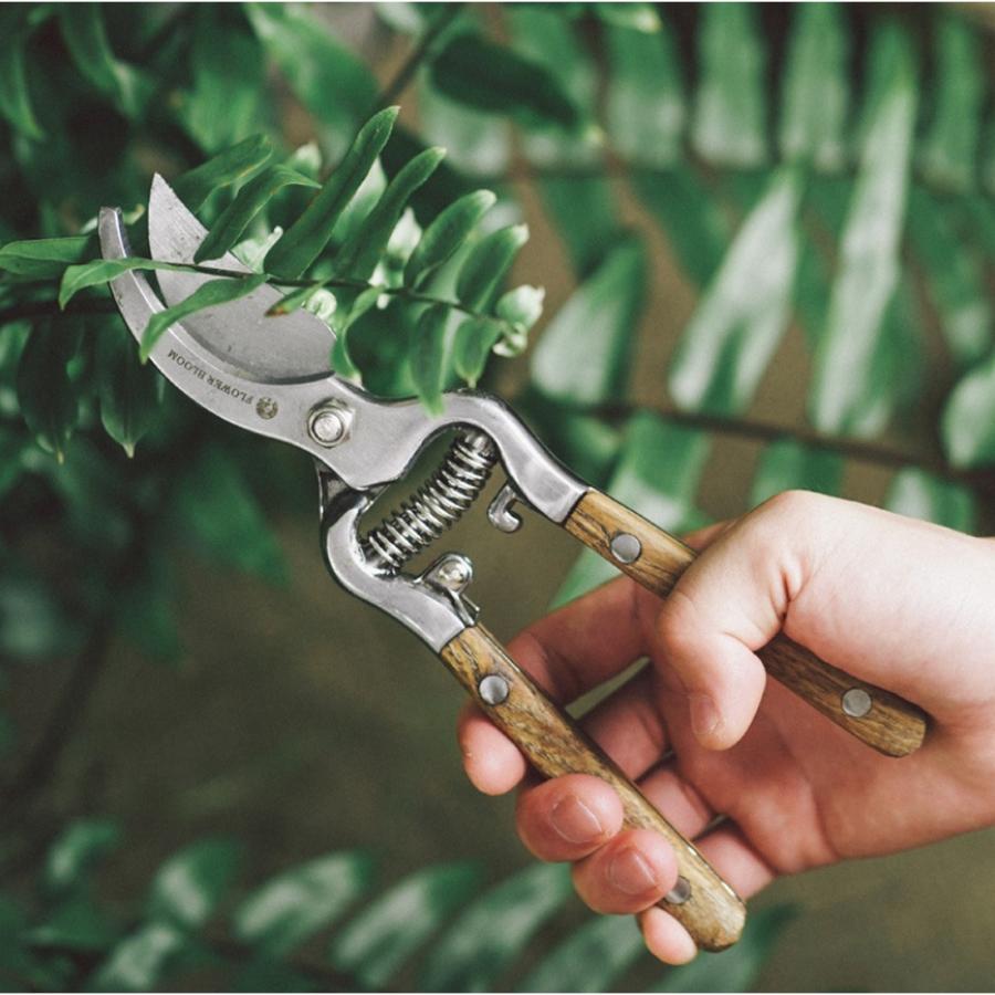 庭の剪定ばさみ果樹園の園芸鋏、庭の剪定ばさみ 福善刃物工業 果樹 剪定 鋏 KS180S 1丁 | ステンレス ハサミ 剪定ばさ