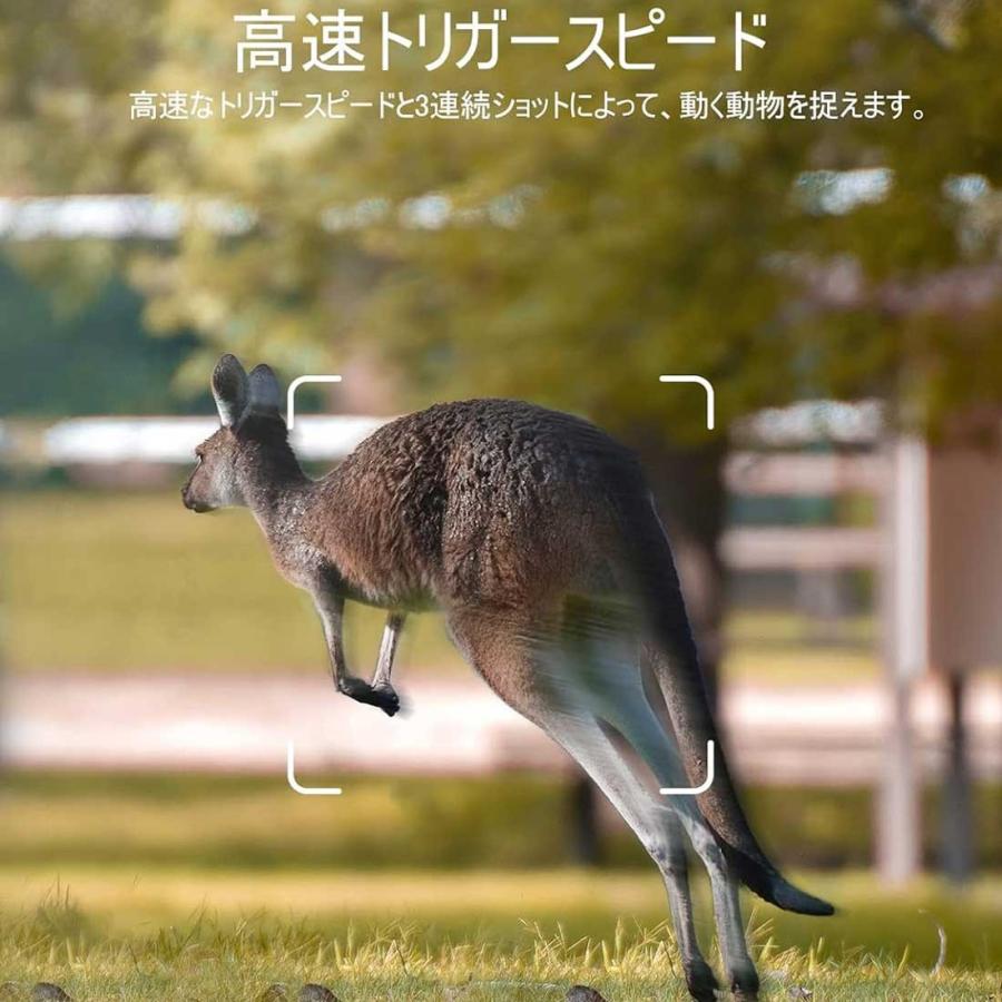 トレイルカメラ 3000万画素 Full HD 防犯カメラ IP66 防水 防塵 赤外線