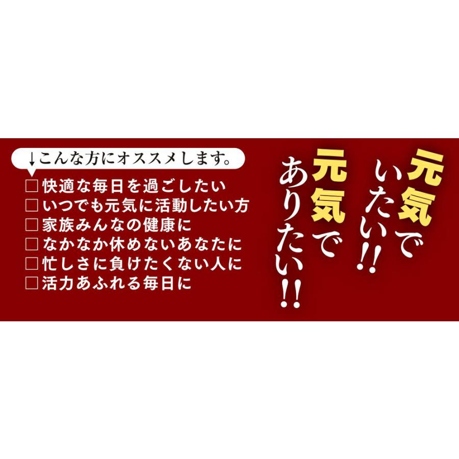 発酵黒ニンニク 黒酢もろみ 黒卵黄油 DHA・EPA にんにく卵黄 スッポン