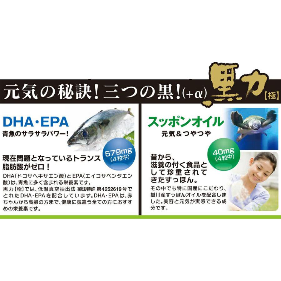 発酵黒ニンニク 黒酢もろみ 黒卵黄油 DHA・EPA にんにく卵黄 スッポン