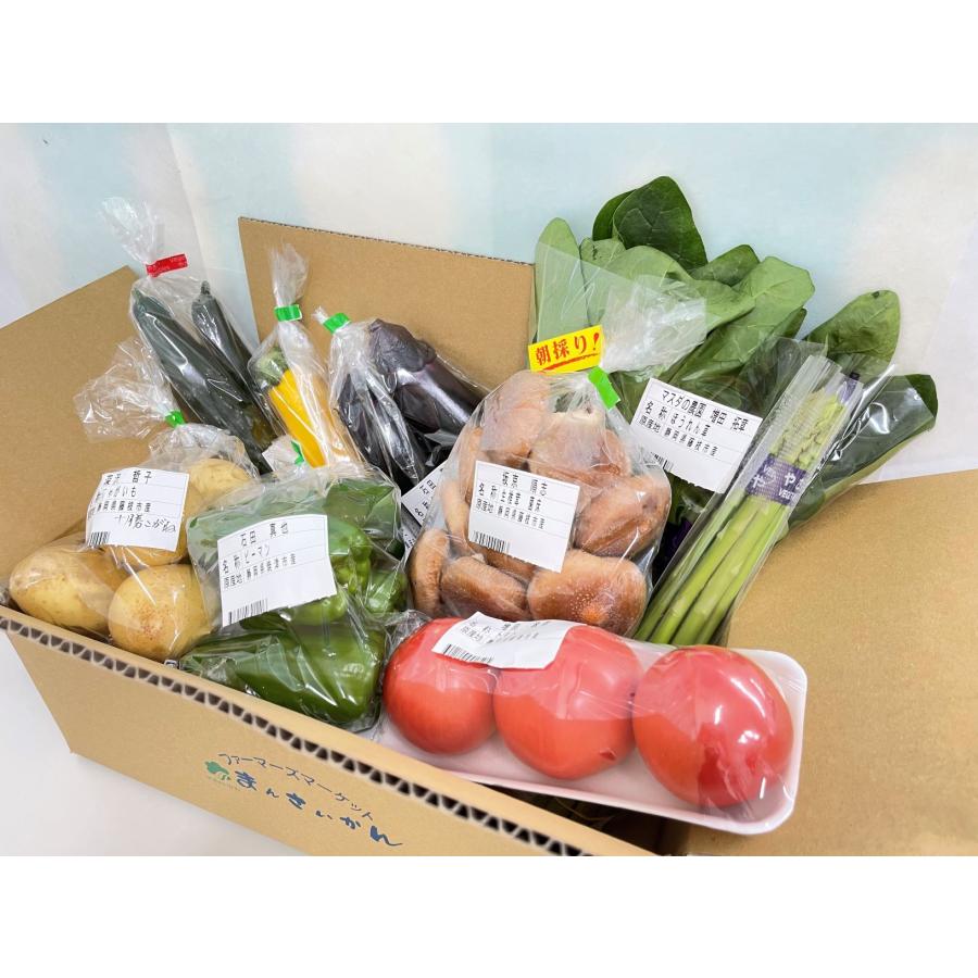 もらって嬉しい出産祝い 道の駅ランキング2位のサンピュアがセレクト おまかせ 野菜セット もらって嬉しい出産祝い 道の駅ランキング2位のサンピュアがセレクト おまかせ 野菜セット
