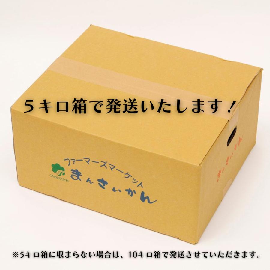 JAおおいがわ>まんさいかん 旬の野菜セット(送料・クール便代込) 新鮮