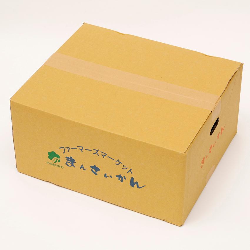 まんさいかん旬の野菜仕送りボックスミニ（クール便代込）｜jaooigawa｜03