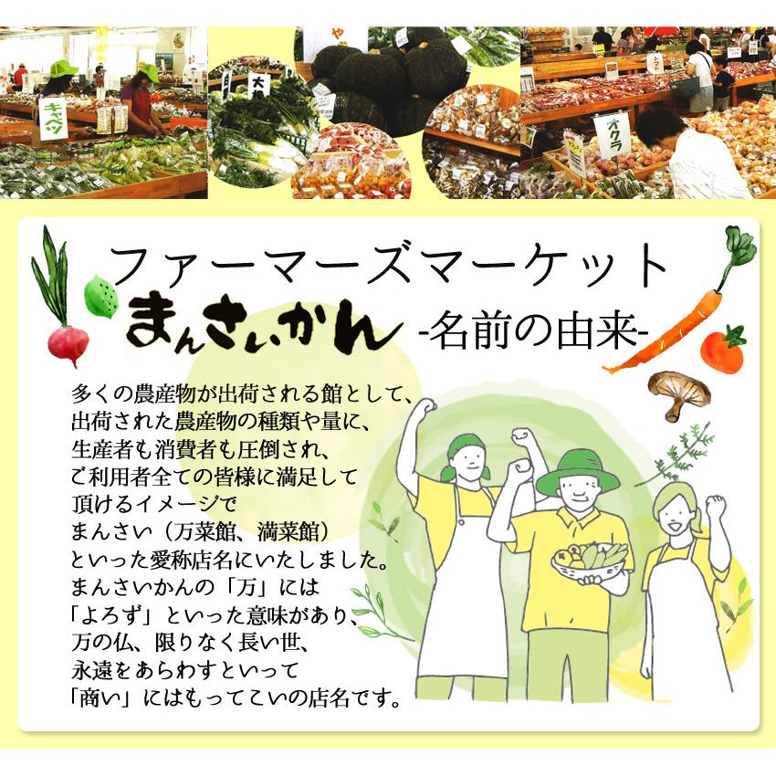 まんさいかん旬の野菜仕送りボックスミニ（クール便代込）｜jaooigawa｜06