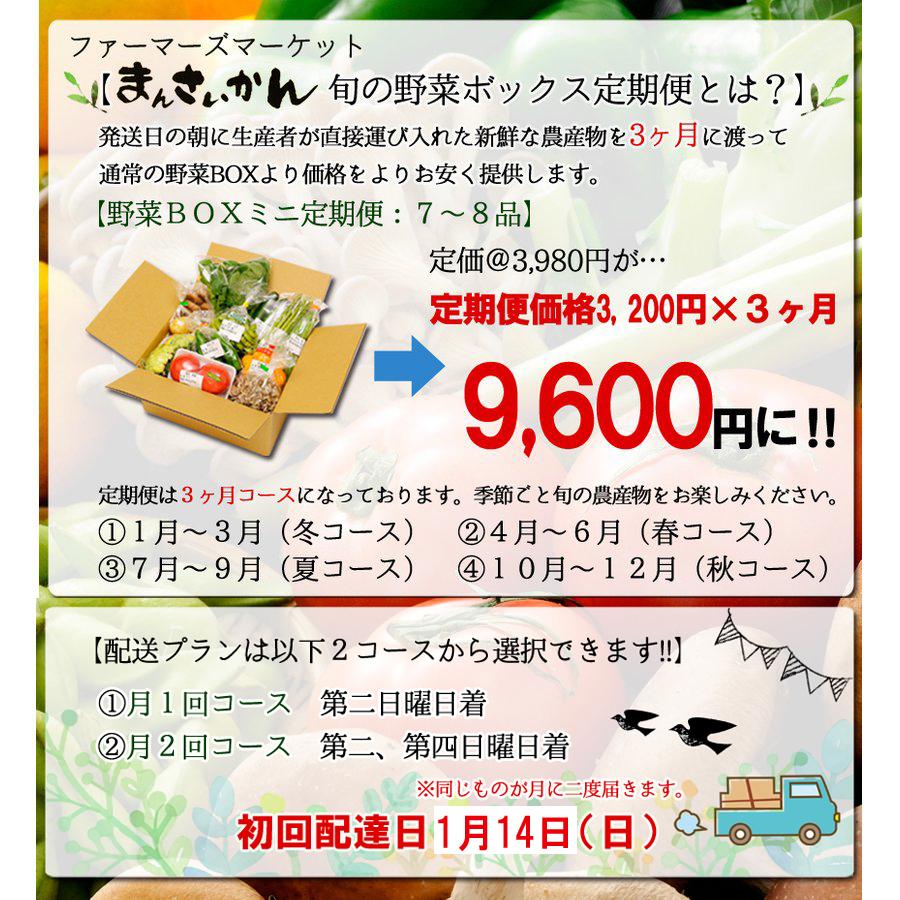 まんさいかん旬の野菜仕送りボックスミニ（クール便代込）｜jaooigawa｜07