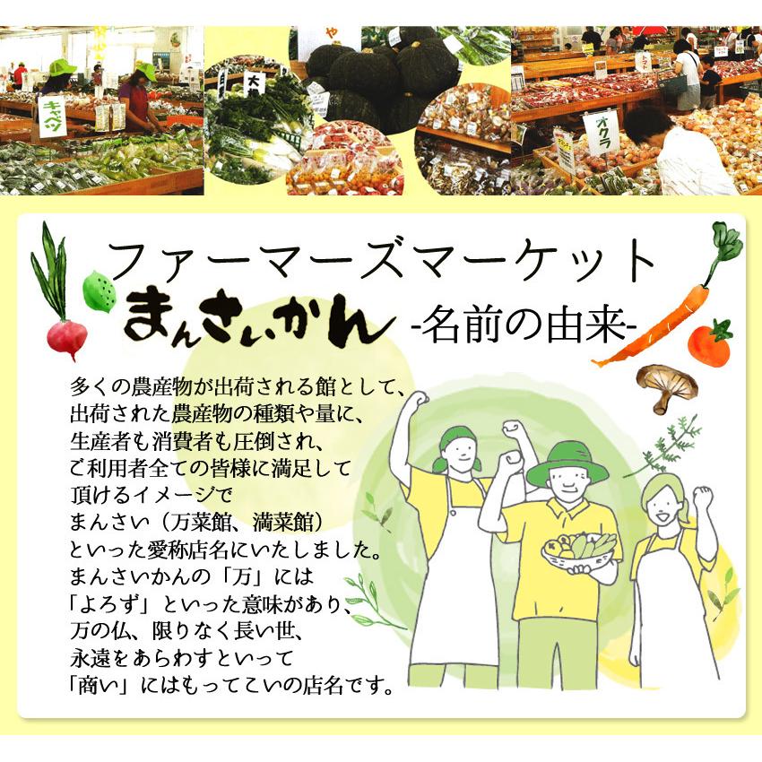 まんさいかん旬の野菜おまかせボックスミニ（クール便代込）｜jaooigawa｜06