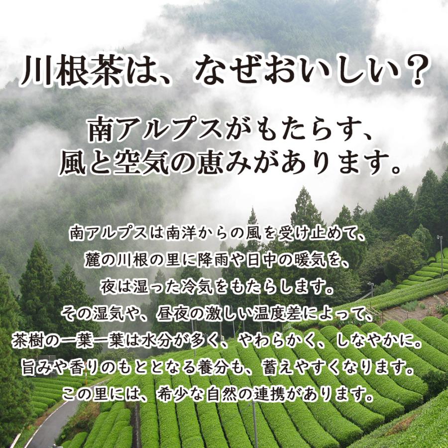 5個までネコポス対応可】【川根茶】初摘 100g袋入り【一番人気商品