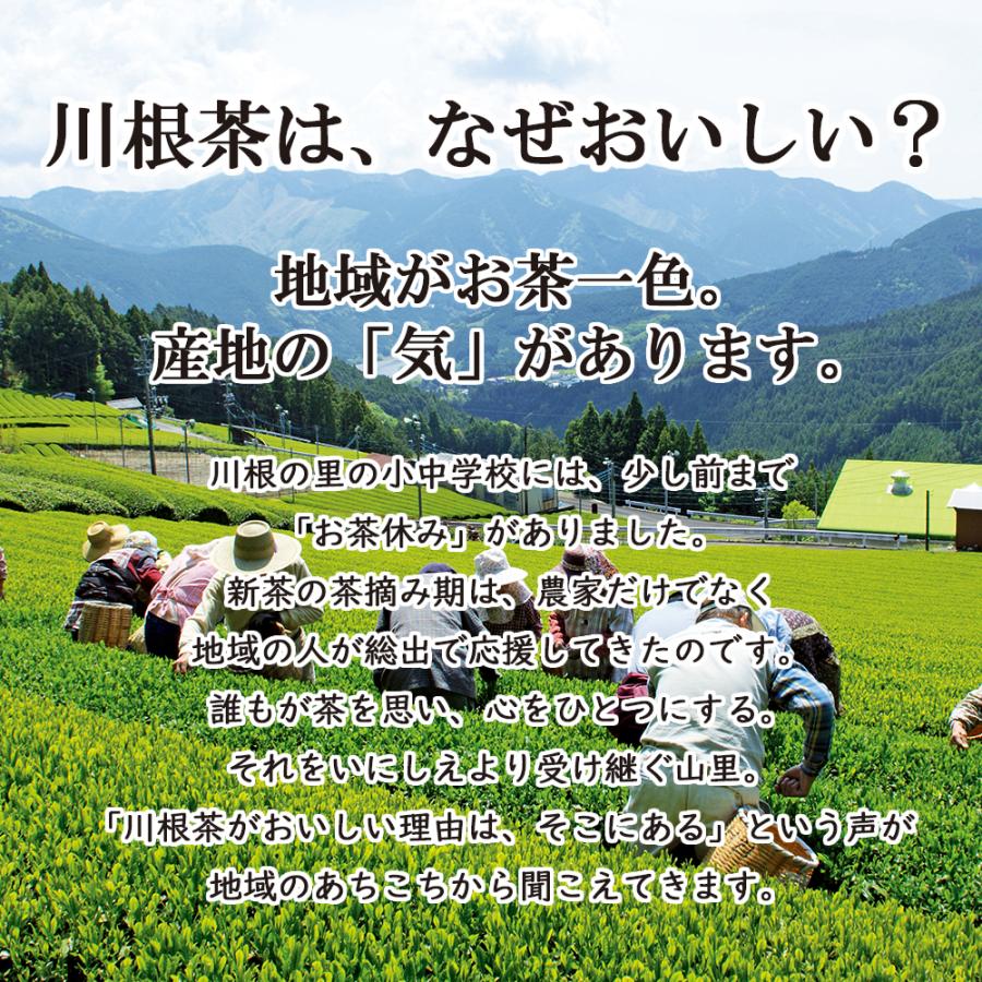 奥大井川根園 かわね茶 かわねの華 新茶 200g ✖︎ 2袋