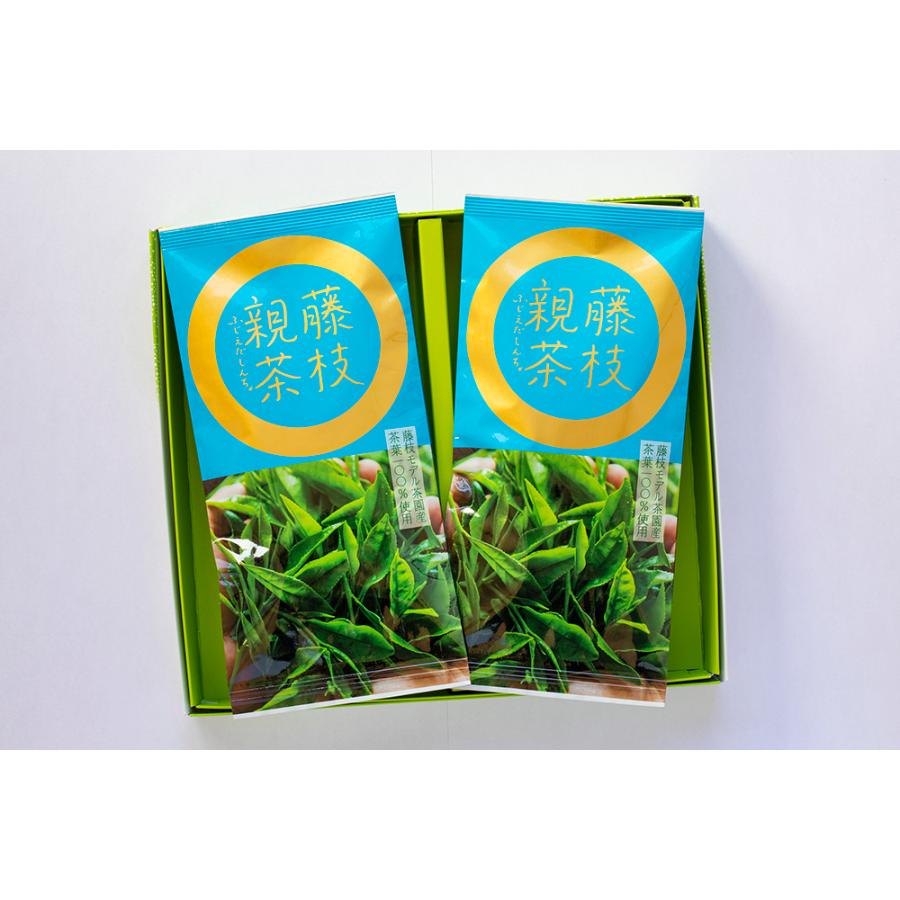 生産者限定のお茶】藤枝親茶100g×2本入【こだわりのお茶】 : 大井川