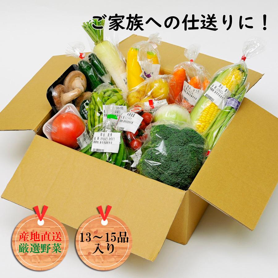 まんさいかん旬の野菜仕送りボックス大（クール便代込）