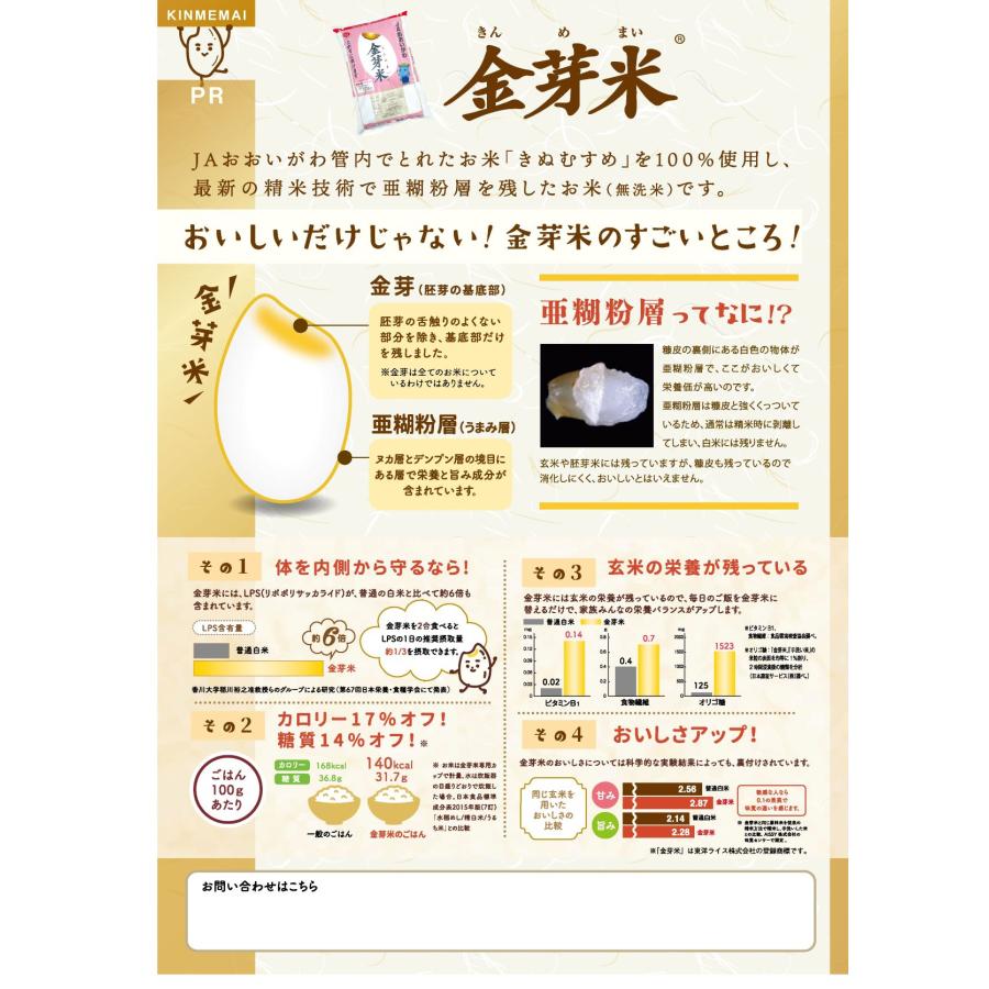 JAおおいがわ金芽米（5kg） 無洗米 静岡県産きぬむすめ 米 5kg