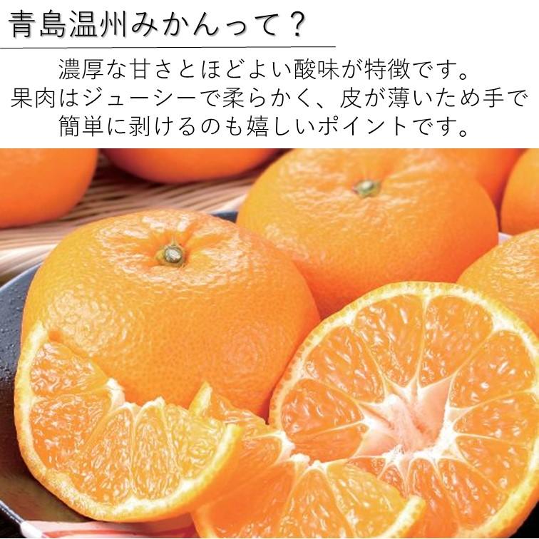 送料無料！ おすすめ 予約注文 12月発送 青島みかん 青秀 秀 2Lサイズ