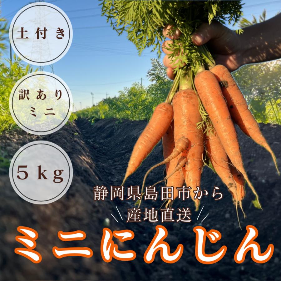 ＜訳あり＞土付き　ミニにんじん５kg箱入り | 