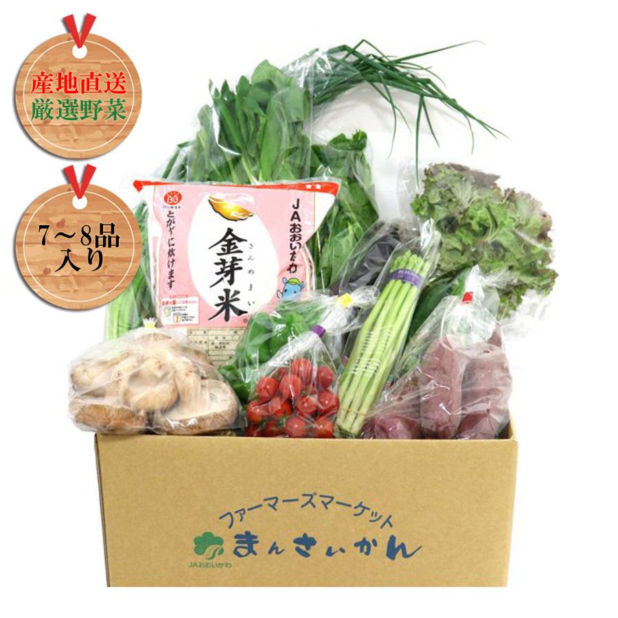 贈答品 まんさいかん旬の野菜仕送りボックスミニ 金芽米2キロセット 発売記念セール価格中 5000円 4500円送料込み クール便代込 4 500円 Whitesforracialequity Org