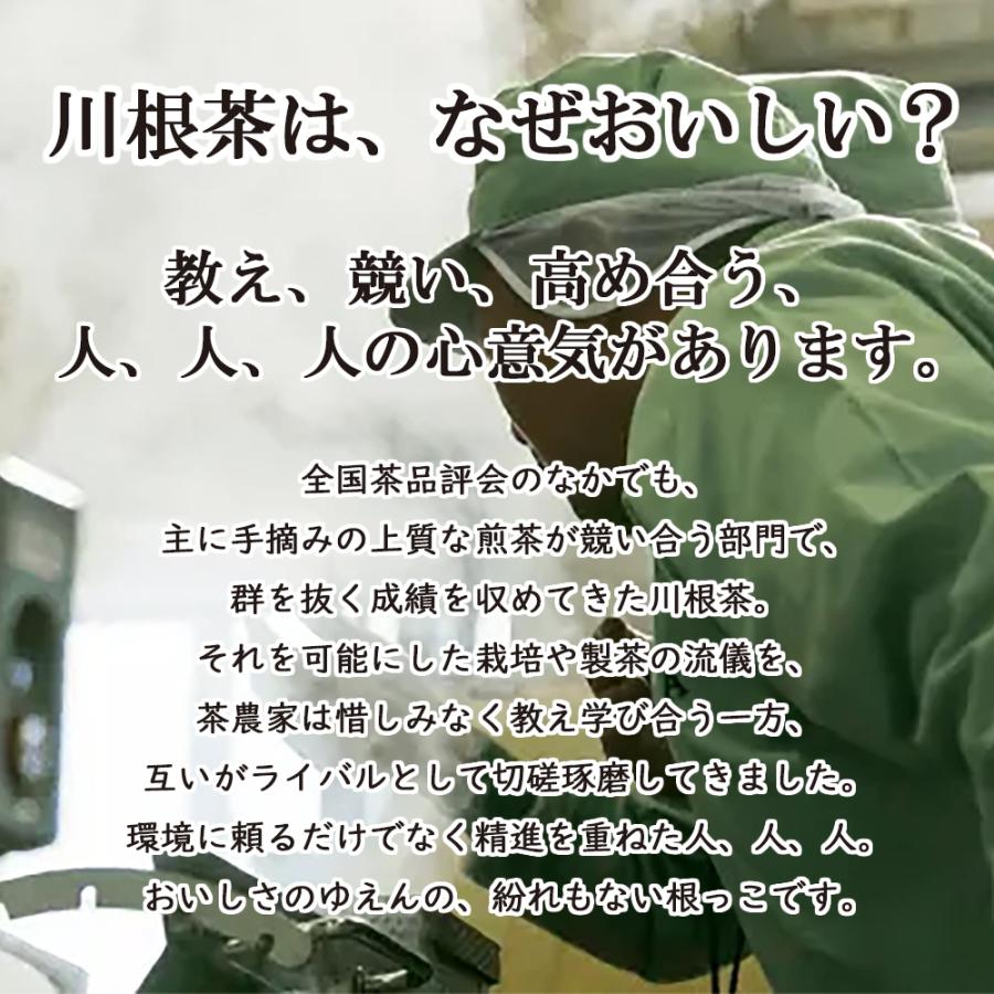 送料無料！川根茶1番茶使用】地元農協が仕上げた川根産家庭用飲み茶