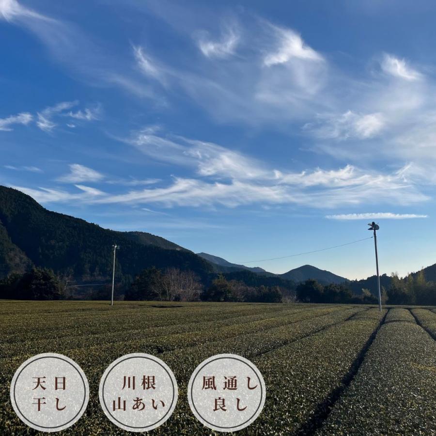 【通年】下原さんちの菌床しいたけセット |  | 05