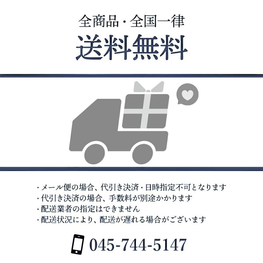 【受取楽々メール便配送　ギフト対応でお届け】馬蹄ペンダント 馬てい形 馬蹄 ペンダント ネックレス  シルバー ラッキーモチーフ 幸運 開運