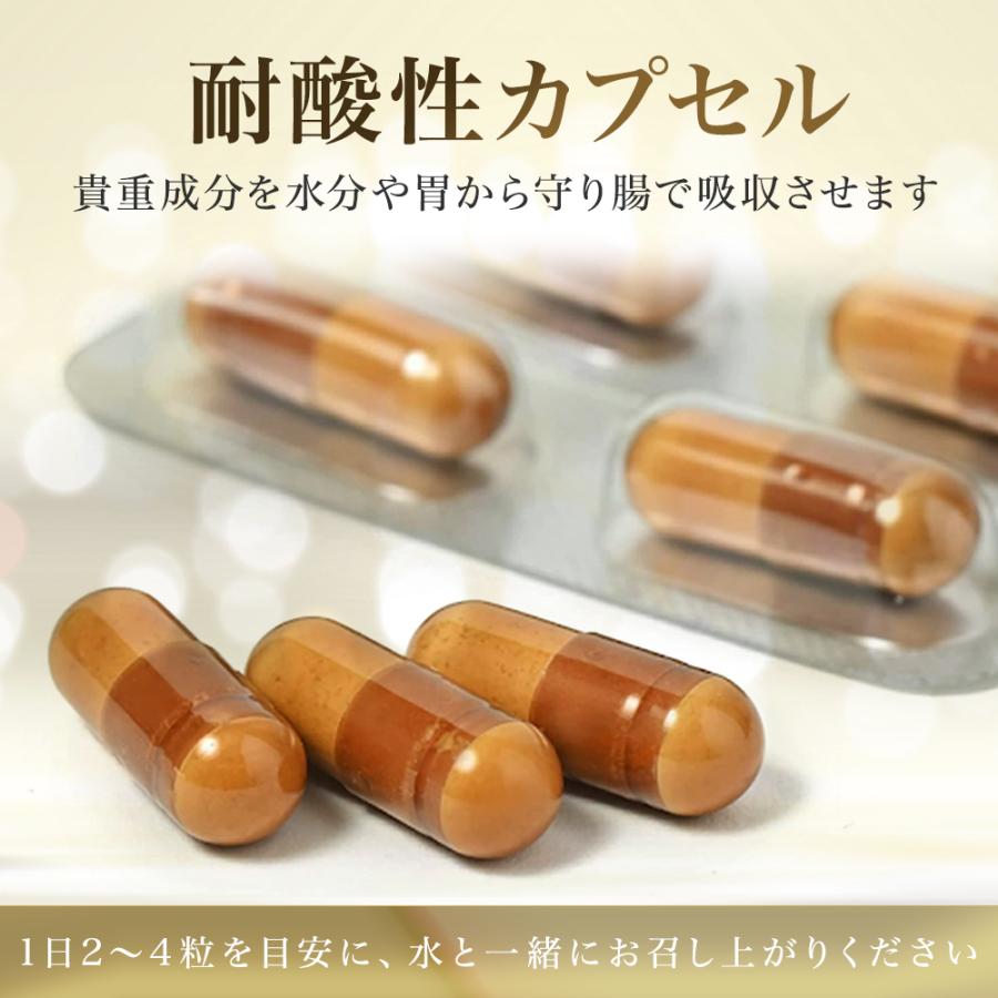 Doctor Health Care ダイエットサプリ BBX ROYAL2【BBX最高ランク