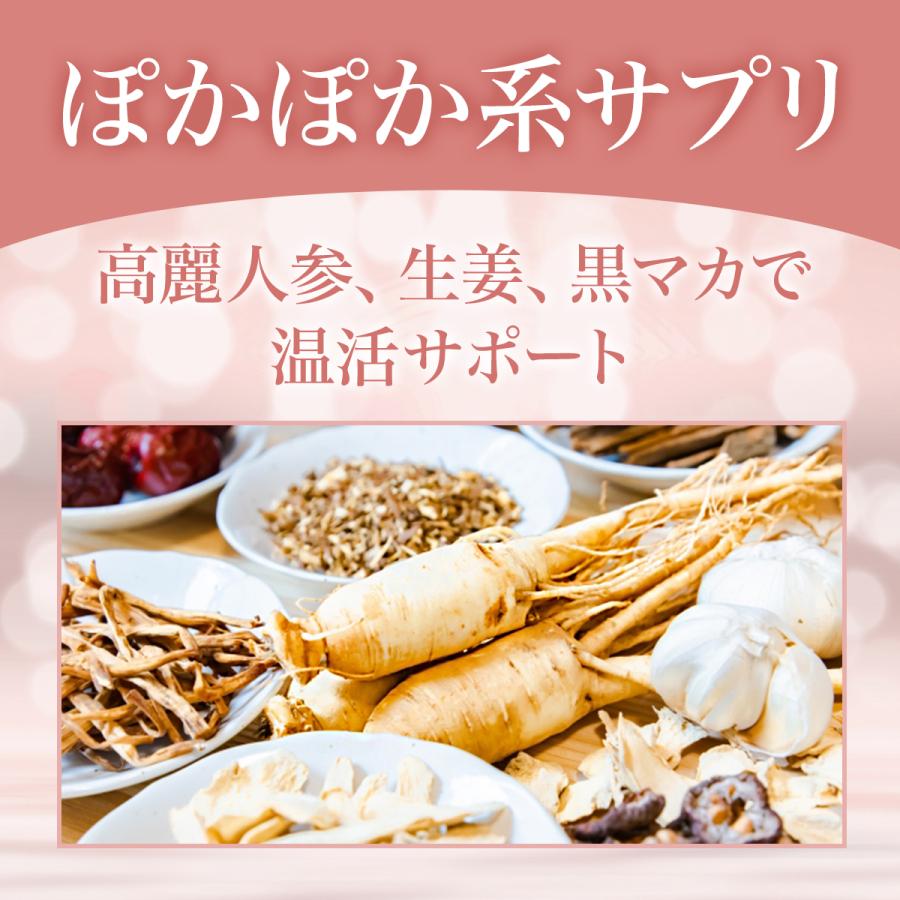 Doctor Health Care 葉酸 妊娠 妊婦 妊活 サプリ ラクトバチルス菌50億
