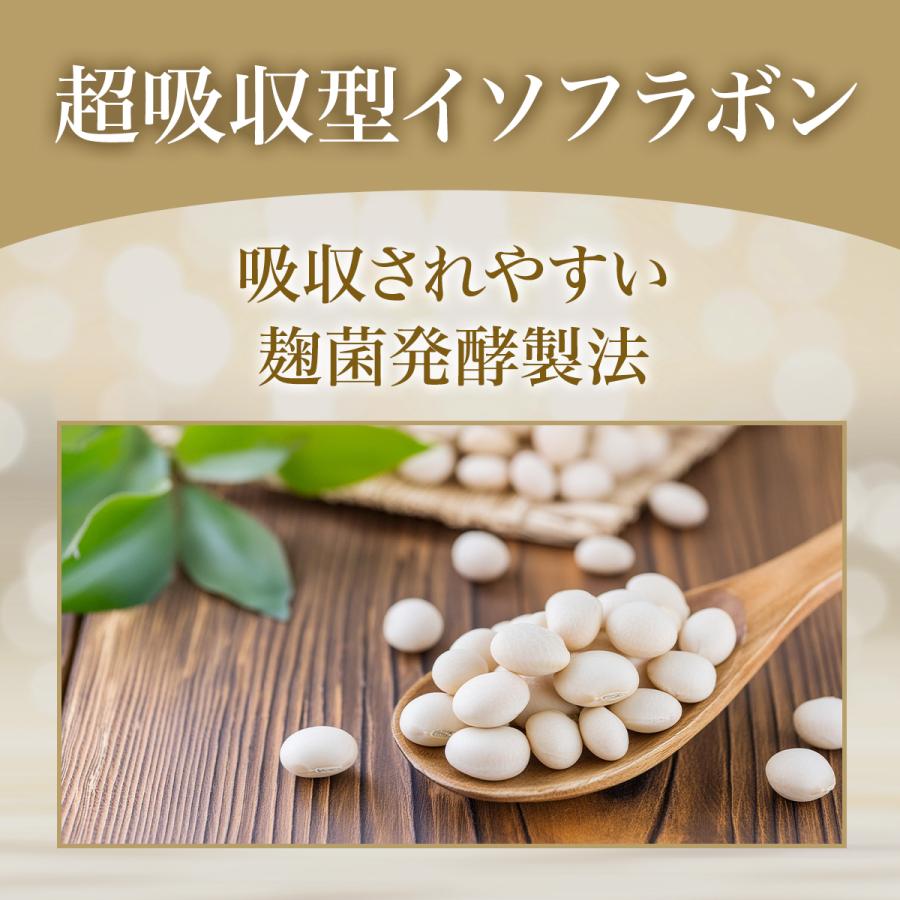 Doctor Health Care 葉酸 妊娠 妊婦 妊活 サプリ ラクトバチルス菌50億