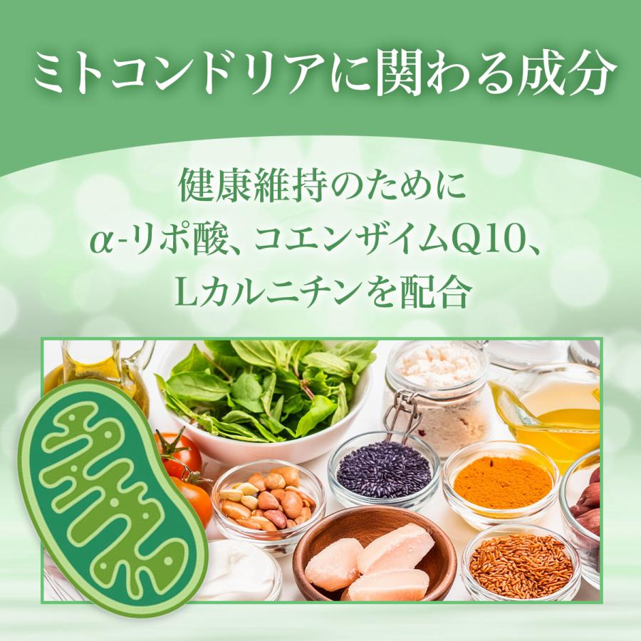 Doctor Health Care 葉酸 妊娠 妊婦 妊活 サプリ ラクトバチルス菌50億