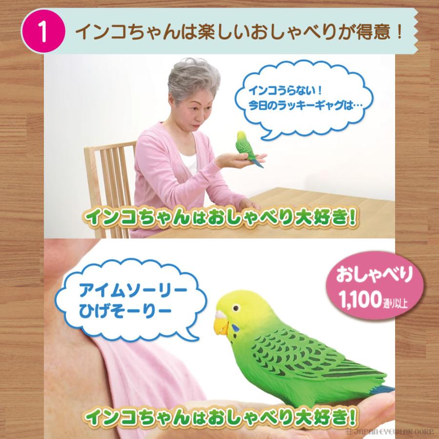 タカラトミー（TAKARA TOMY） インコ 鳥 おもちゃ 毎日おしゃべり天才