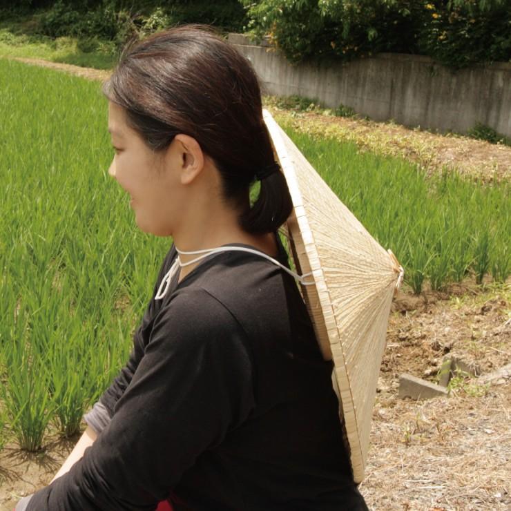 一部予約 菅笠 7寸 48cm 農作業 帽子 夏 日よけ メンズ レディース 紫外線 おしゃれ ガーデニング 釣り すげがさ 五徳付き 国産 Heartlandgolfpark Com