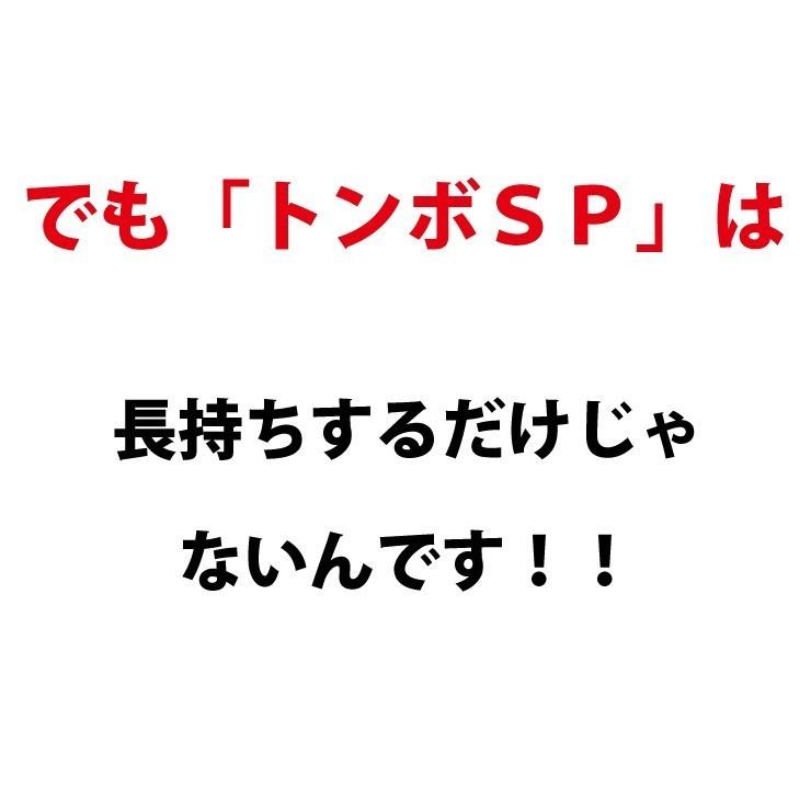 トンボSP スペシャルセット アルミ製 軽量 グラウンド整備 レーキ オールアルミ製+木製刃 グランド 整備用 (幅80cm)  SP SPORTS 爆買 | SP SPORTS | 08