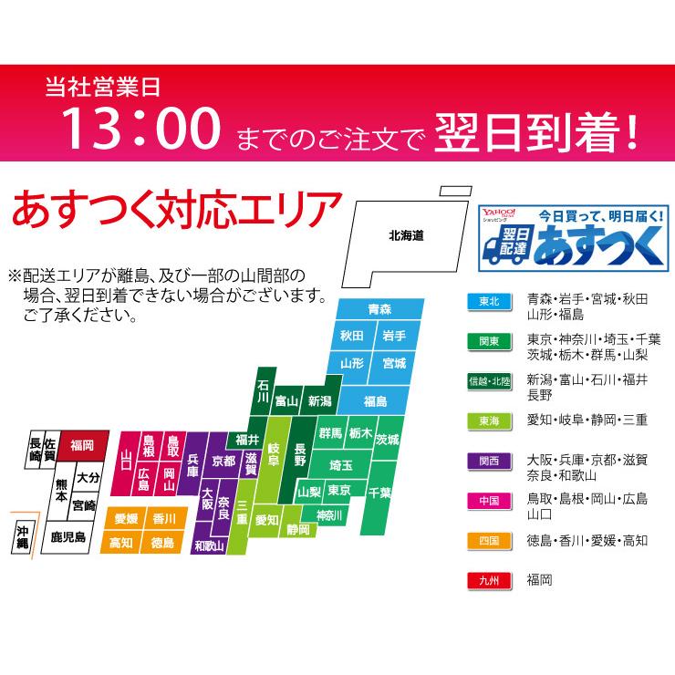 トンボ SPJ 10本セット グラウンド 整備用 レーキ アルミ製で超軽量 10年使える (幅60cm) 子供用 完全日本製 SP SPORTS 爆買 | SP SPORTS | 13